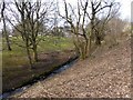 Looking upstream a tributary of West Burn of Rubislaw