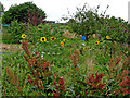 Allotments in Nuneaton, Warwickshire