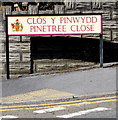 Cl?s y Pinwydd/Pinetree Close name sign, Burry Port