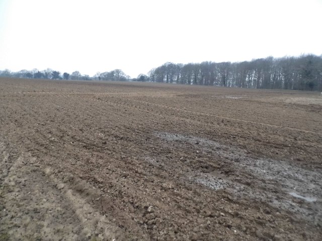 Ploughed field in Pockthorpe © David Howard :: Geograph Britain and Ireland