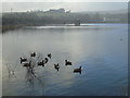 Snow shower on Hollingworth Lake (1)