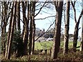 The estate village of Bryansford from the Tollymore Demesne