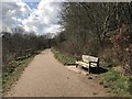 SJ8462 : Lakeside path on Astbury Mere Country Park by Jonathan Hutchins