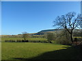 Twiston Lane to the Big End