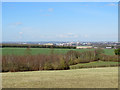 TL4853 : A long view from Magog Down by John Sutton