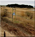 West Power Distribution line spur pole, Pwll, Carmarthenshire