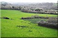 Rough grassland