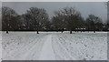 Path across Upper Denton Dene