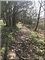 Public footpath south of Madeley Heath