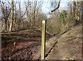 Bridleway on Chinnor Hill