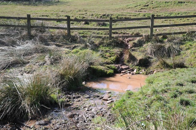 The source of the River Rea