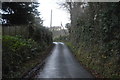 Narrow Devon lane