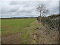 Farmland north-west of Salutation Farm