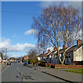 Ruskin Road in Old Fallings, Wolverhampton