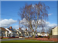 Housing in Ruskin Road, Old Fallings, Wolverhampton