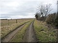 Farm track, south of Glebe Farm