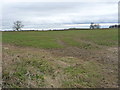 SE2695 : Farmland, north-east of Glebe Farm by Christine Johnstone