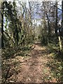 Public footpath south of Madeley Heath