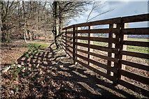 TQ2997 : Fence on Edge of Williams Wood, Trent Park by Christine Matthews