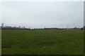 Playing fields near Lane End Primary