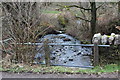 Nant Cae-dudwg below former mill