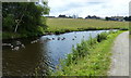 Leeds and Liverpool Canal near Whitebirk Moss Farm