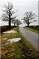 SP3341 : Lane up Broom Hill by Nigel Mykura