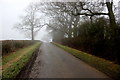 SP3340 : Road Across Broom Hill by Nigel Mykura