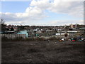 Allotments off Woodfield Road