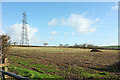 Field near Great Brighter Farm