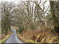 Minor road east of Thackthwaite Gill