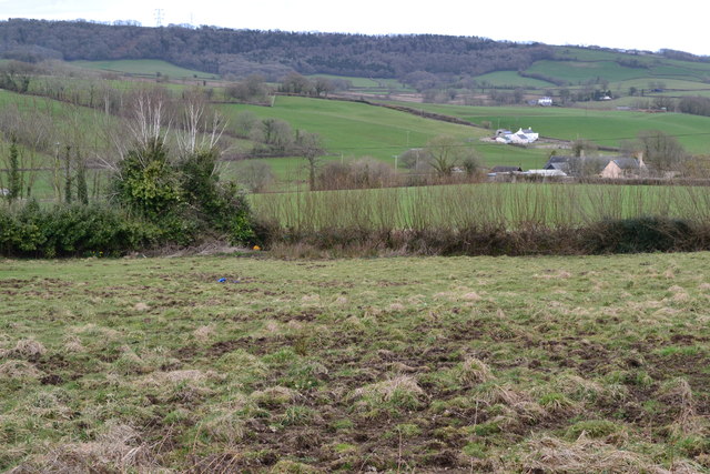 Field beside the A35 near Studhayes Farm