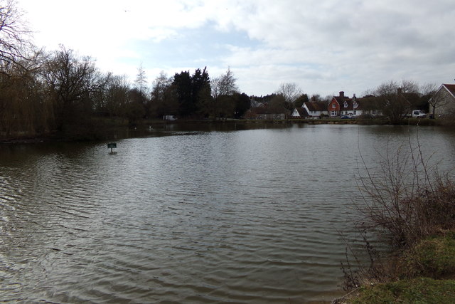 Falmer Pond Geographer Geograph Britain And Ireland