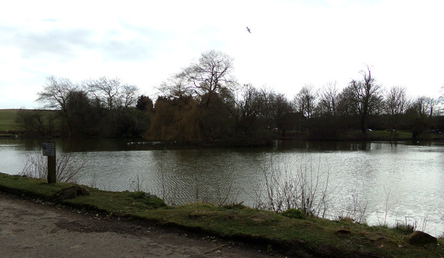 falmer-pond-geographer-geograph-britain-and-ireland