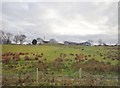 Farmhouse and outbuildings above the B8 at The Alt