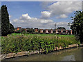 Canalside farmland south-east of Hawkesbury in Warwickshire