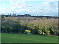 View west from Swife Lane