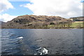 Trees on Ullswater shoreline