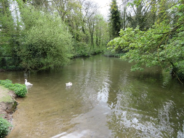 Quy Water from Stone Bridge © Fernweh cc-by-sa/2.0 :: Geograph Britain and Ireland