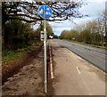 Cycle route 45 sign alongside the A419 near Stonehouse