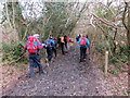 Llwybr ger Cwm-blaen-bwlan / Path near Cwm-blaen-bwlan