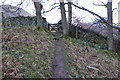 Footpath to Swarthbeck