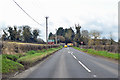 A338 towards Salisbury