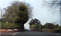 SX9063 : Greenway Road junction by John C