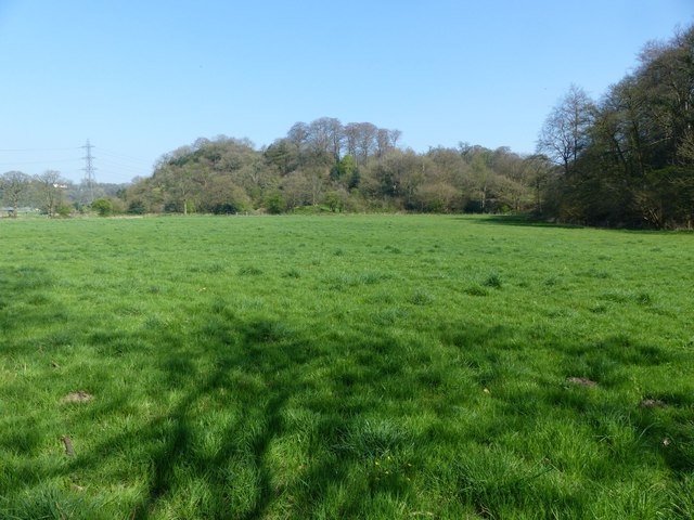 Turncliff Wood