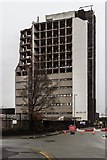 SJ8696 : ICL Tower by Peter McDermott