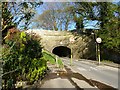 Aqueduct over Green Lane