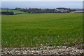 Field near Magdalen Hill Farm