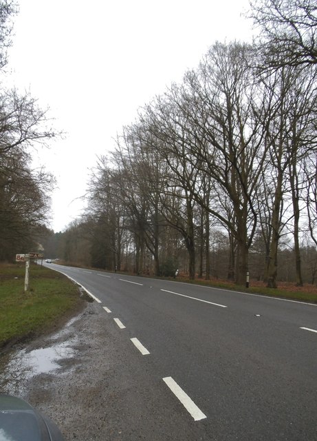 Watton Road by Hockham caravan site