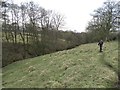 Footpath towards Hill House